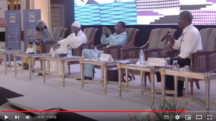 Panel: Militarisms in Contemporary Africa
